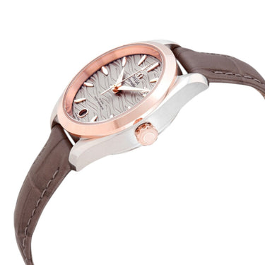 Seamaster Aqua Terra