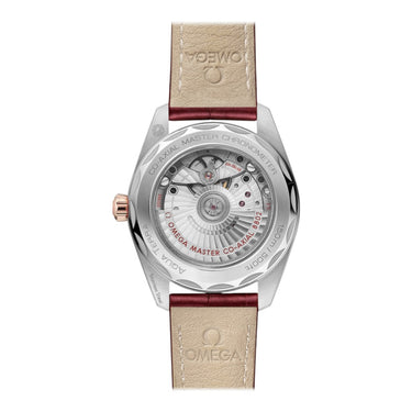 Seamaster Aqua Terra