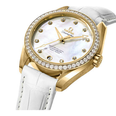 Seamaster Aqua Terra