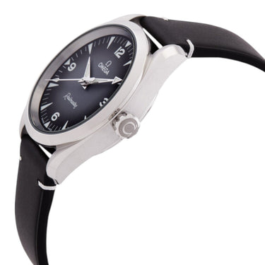 Seamaster Railmaster