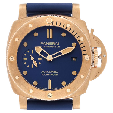 Submersible Bronze